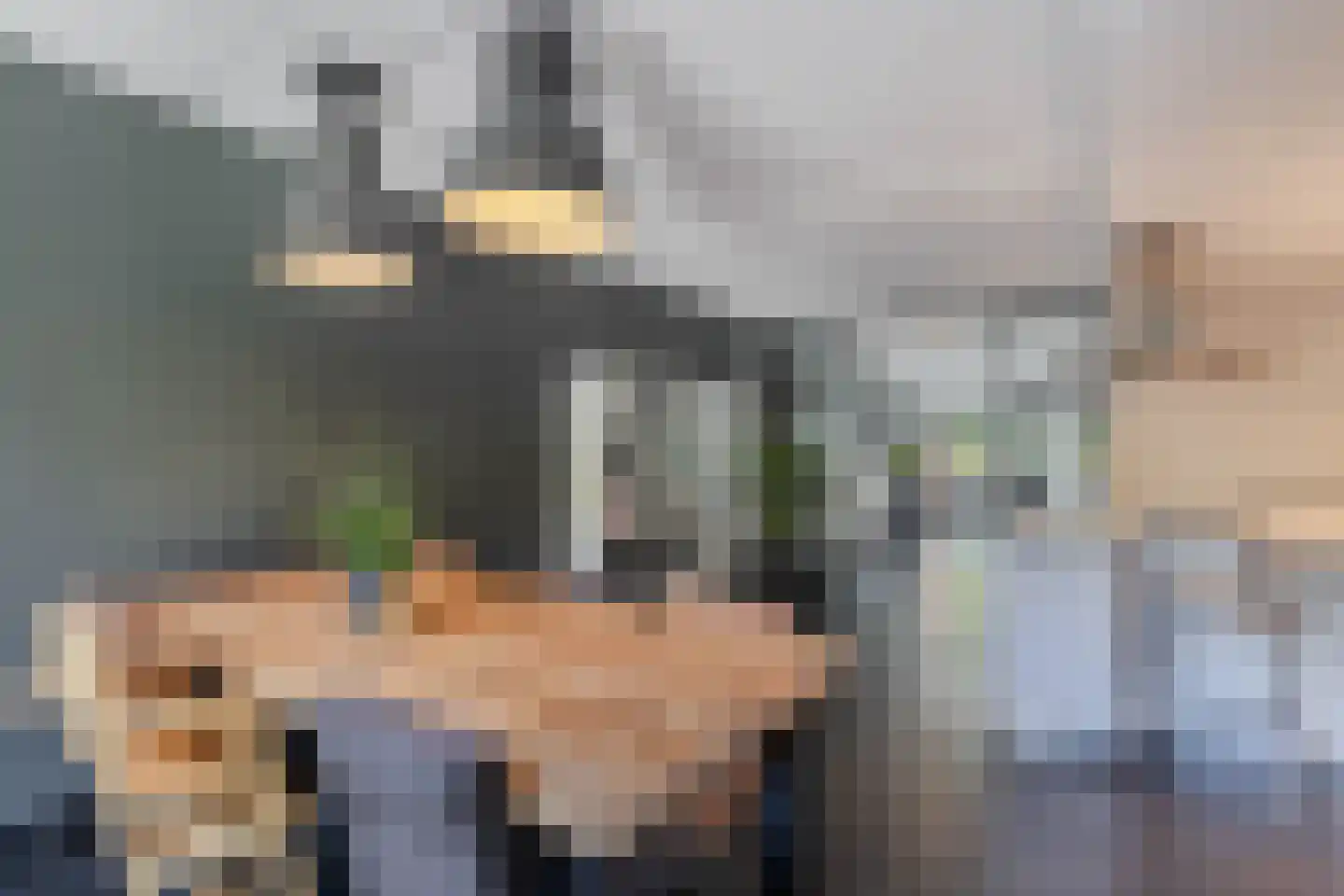 Fleminghage 15 Emmeloord thumbnail 24