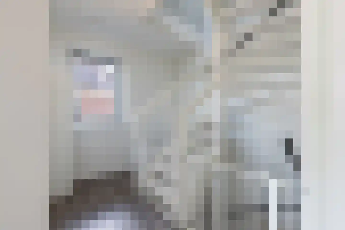 Fleminghage 15 Emmeloord thumbnail 28