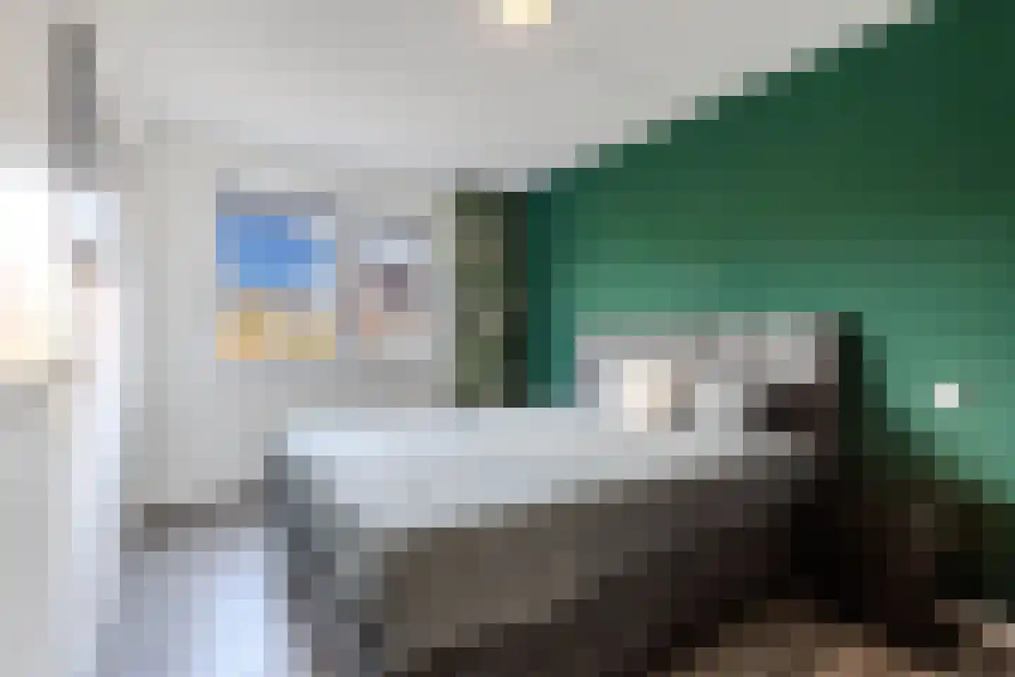 Fleminghage 15 Emmeloord thumbnail 29