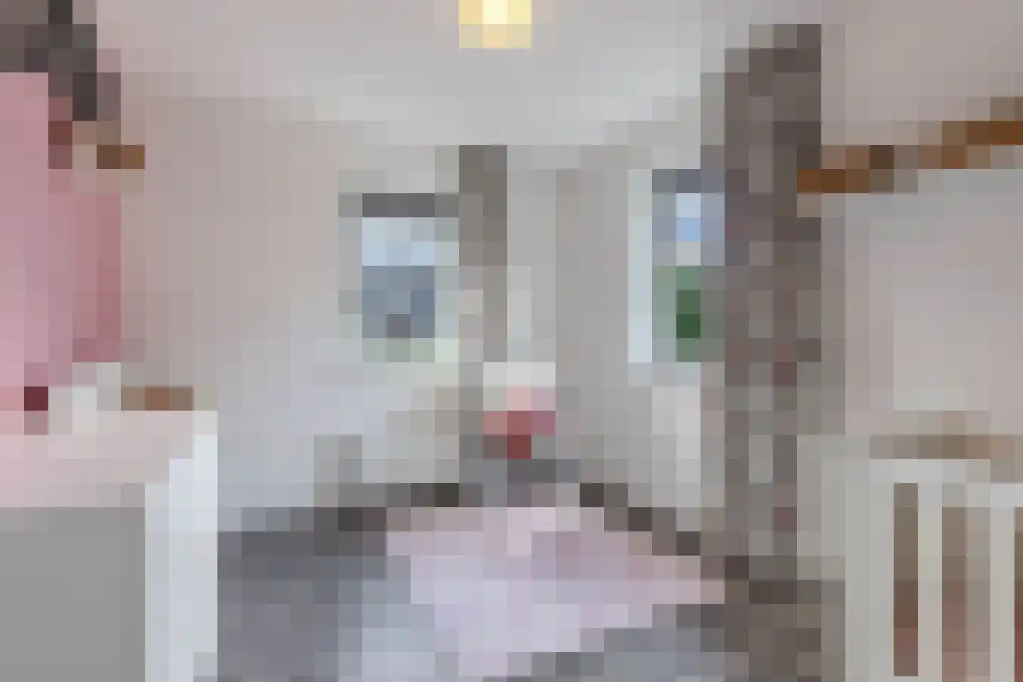 Fleminghage 15 Emmeloord thumbnail 30