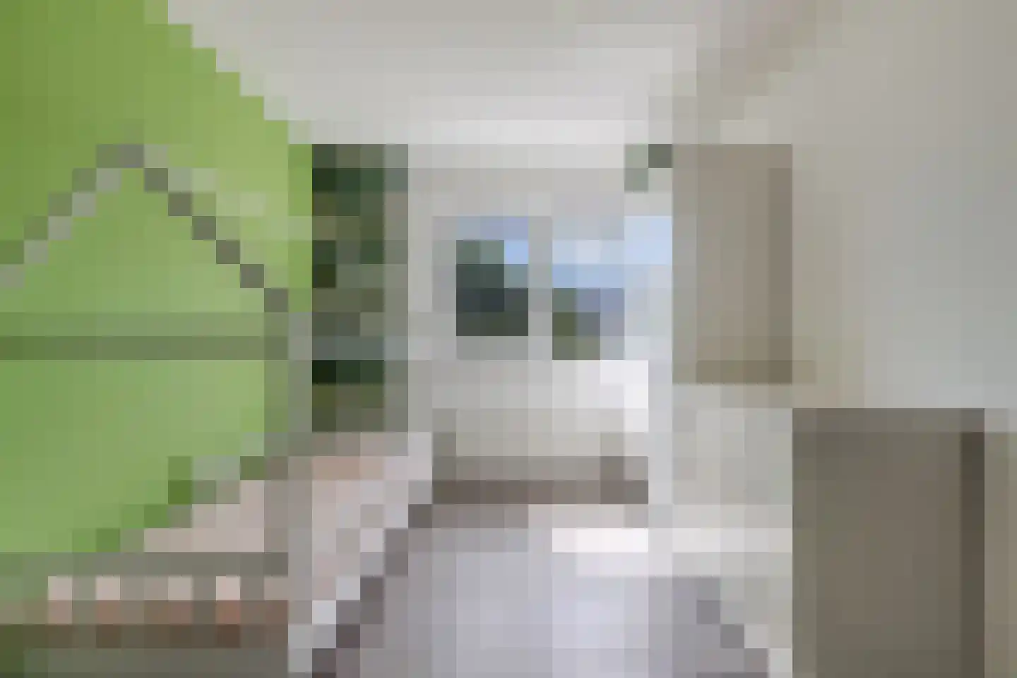 Fleminghage 15 Emmeloord thumbnail 33