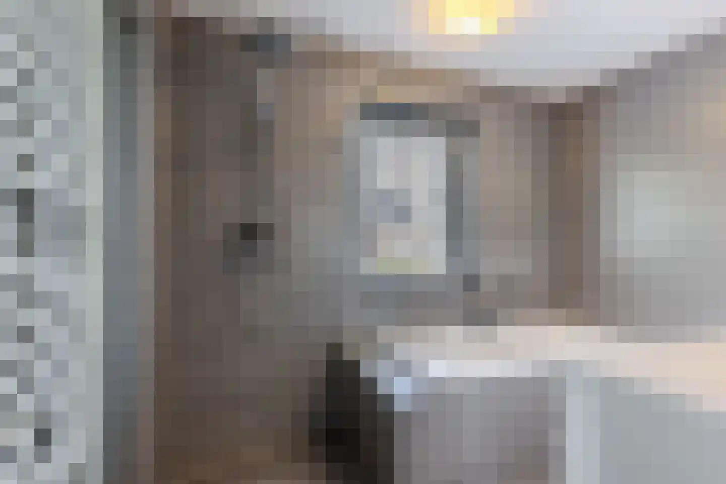 Fleminghage 15 Emmeloord thumbnail 34