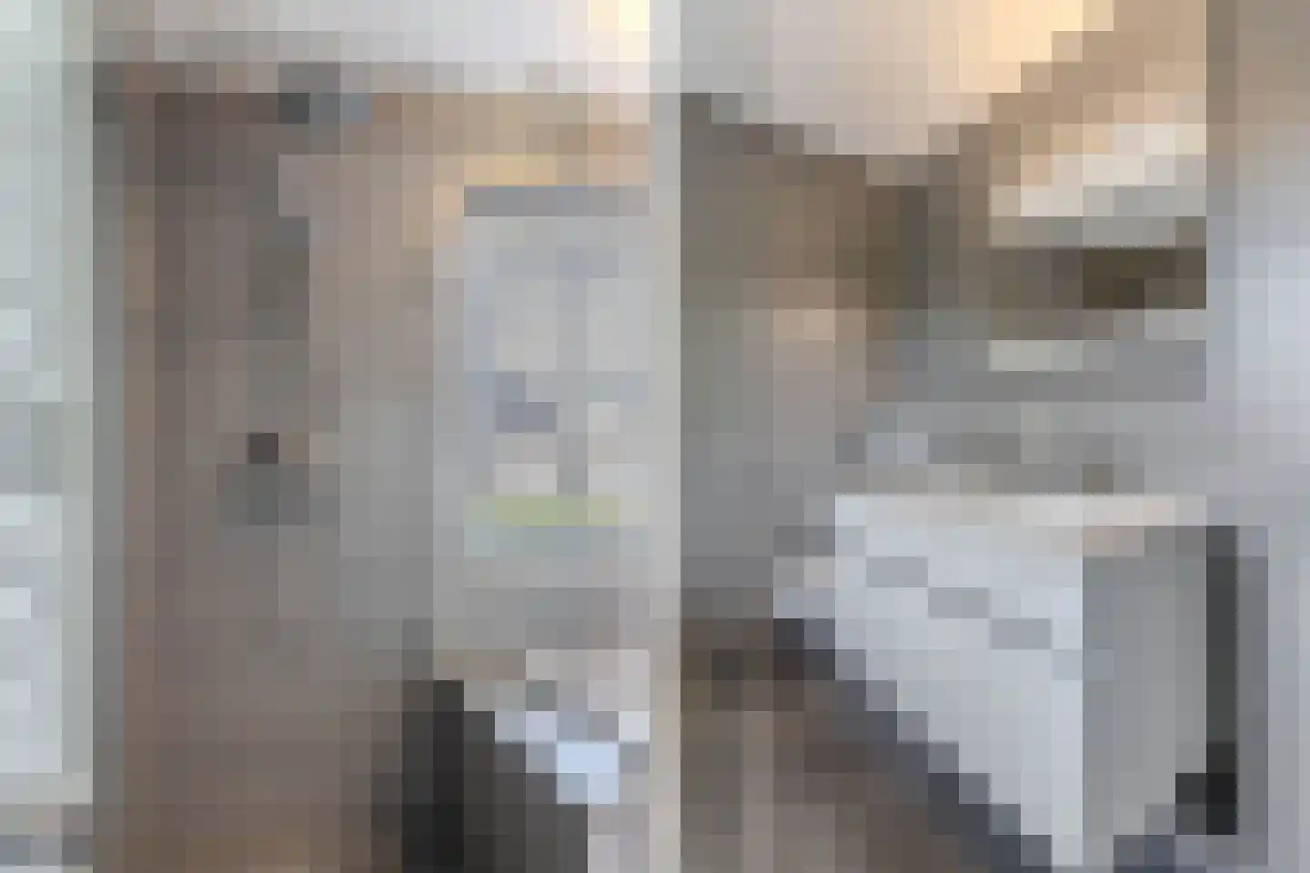 Fleminghage 15 Emmeloord thumbnail 35