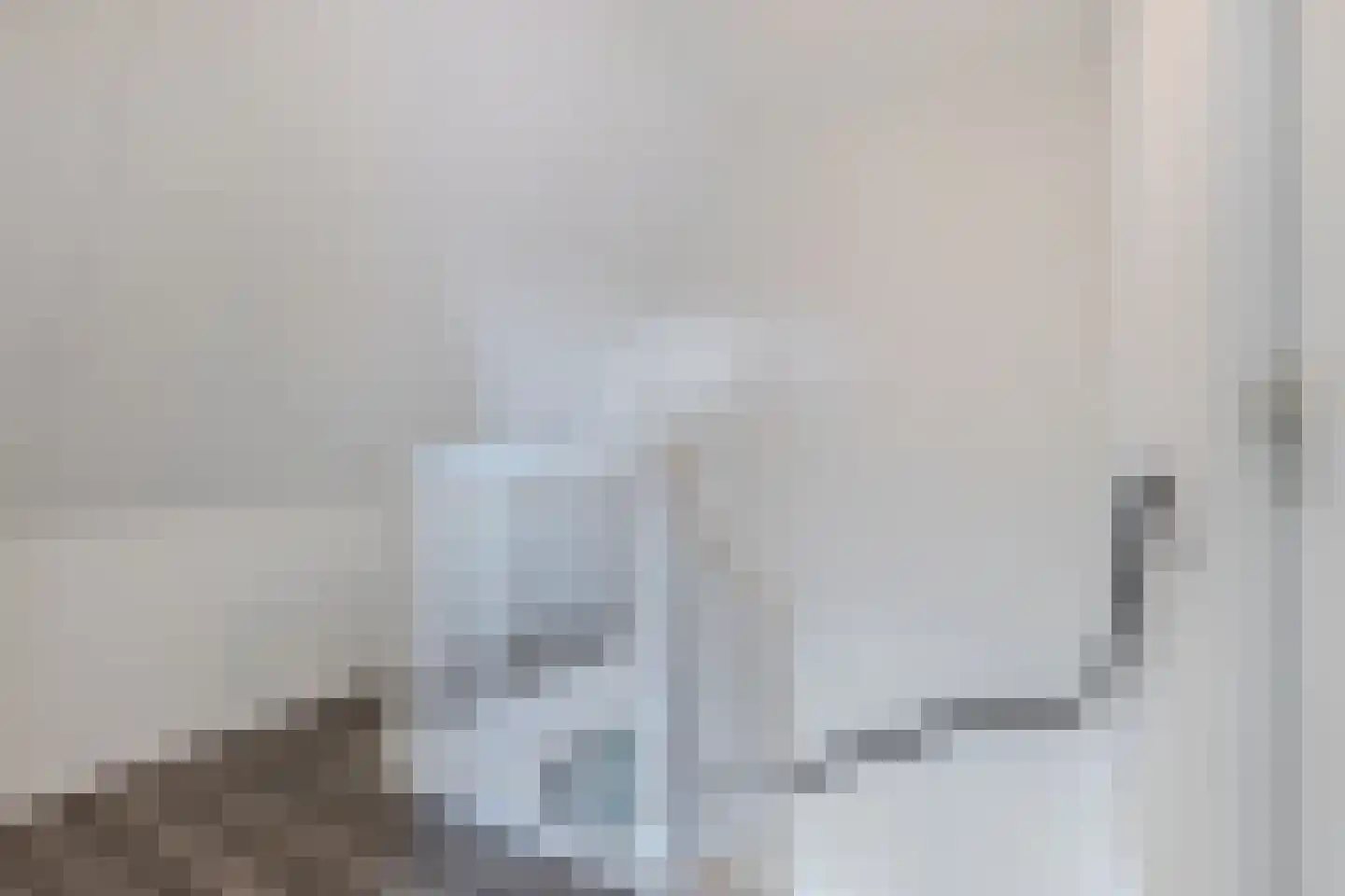 Fleminghage 15 Emmeloord thumbnail 38
