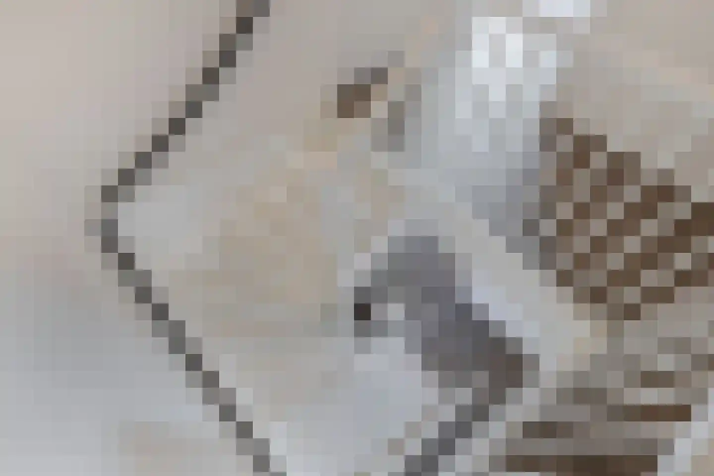 Fleminghage 15 Emmeloord thumbnail 39