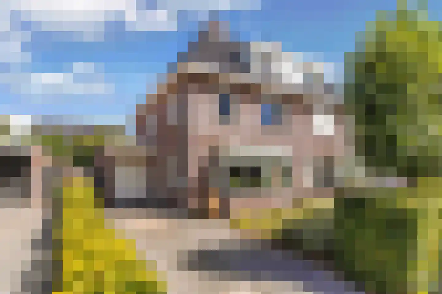 Fleminghage 15 Emmeloord thumbnail 4