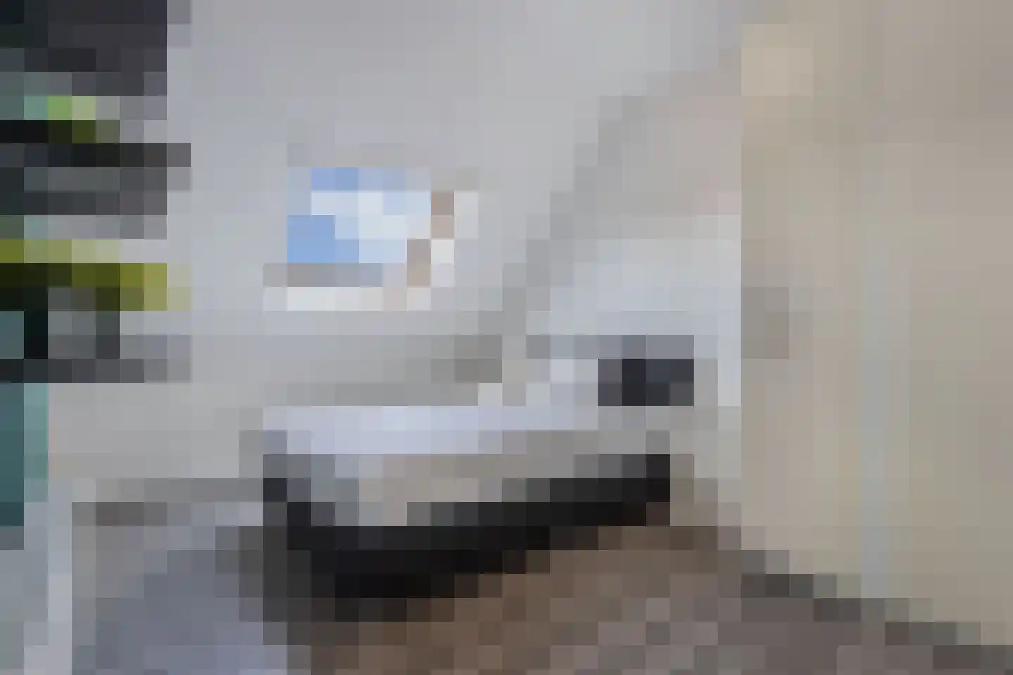 Fleminghage 15 Emmeloord thumbnail 40