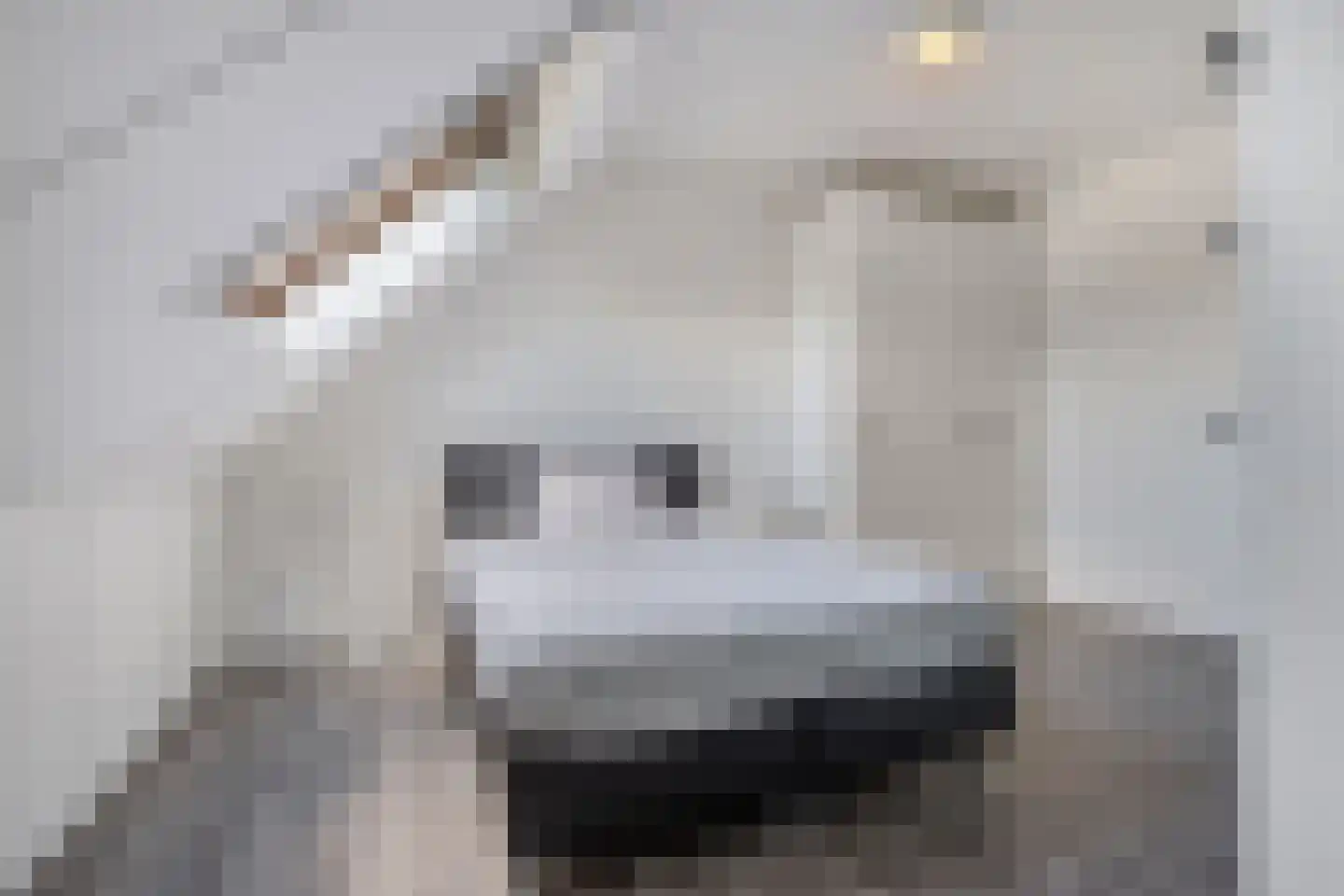Fleminghage 15 Emmeloord thumbnail 41