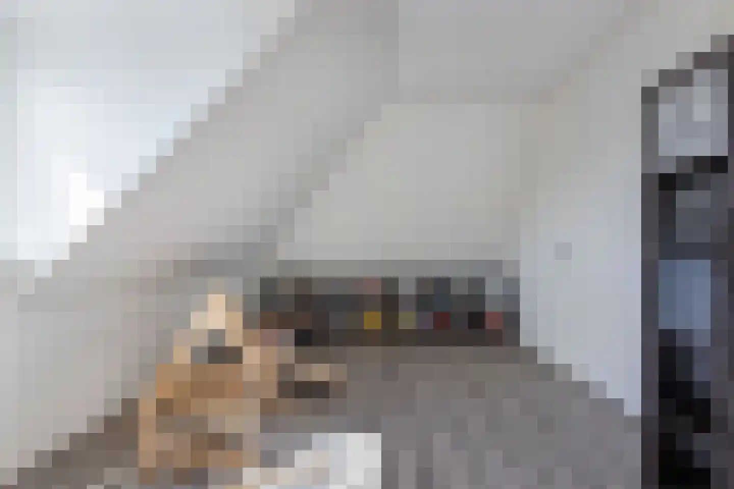 Fleminghage 15 Emmeloord thumbnail 43