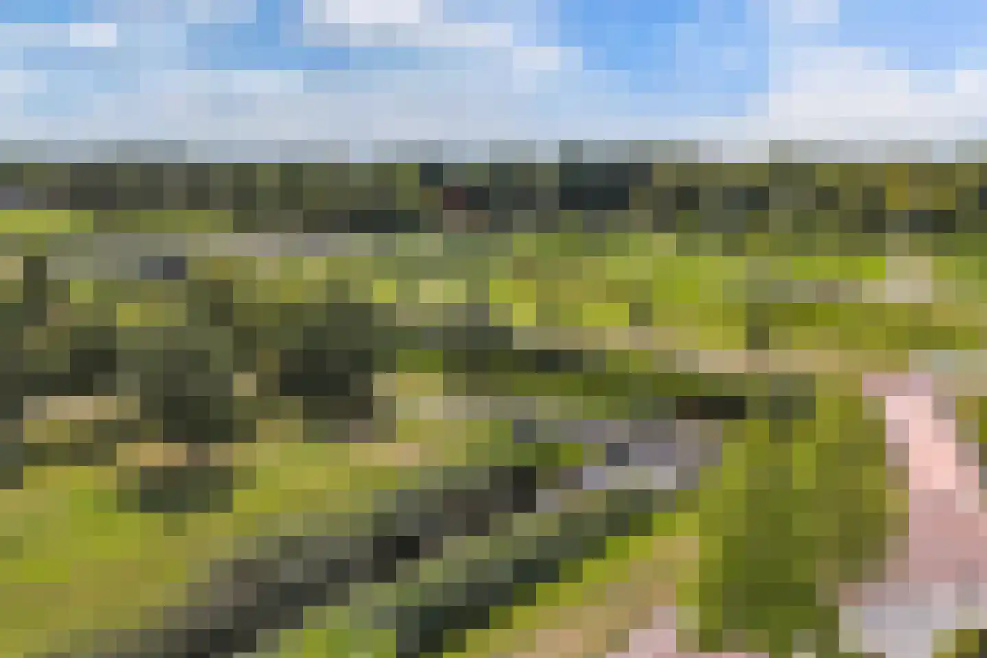 Fleminghage 15 Emmeloord thumbnail 49
