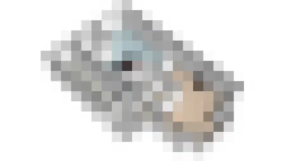 Fleminghage 15 Emmeloord thumbnail 51