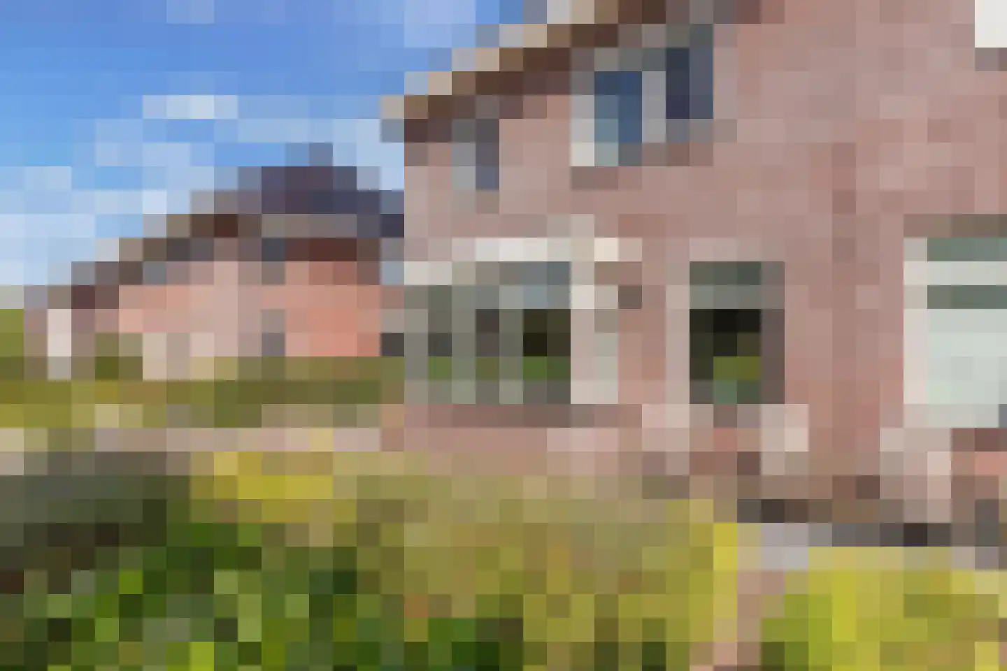 Fleminghage 15 Emmeloord thumbnail 9