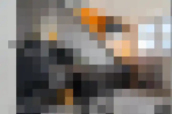 Fleminghage 18 Emmeloord thumbnail 37
