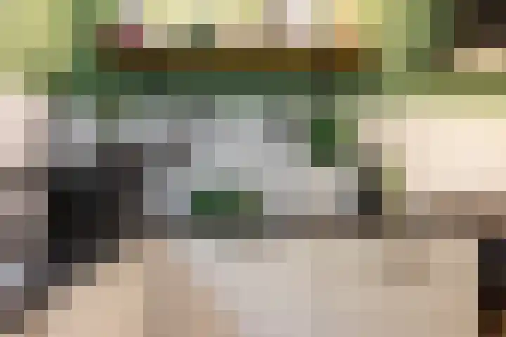 Fleminghof 73 Schoonhoven thumbnail 14