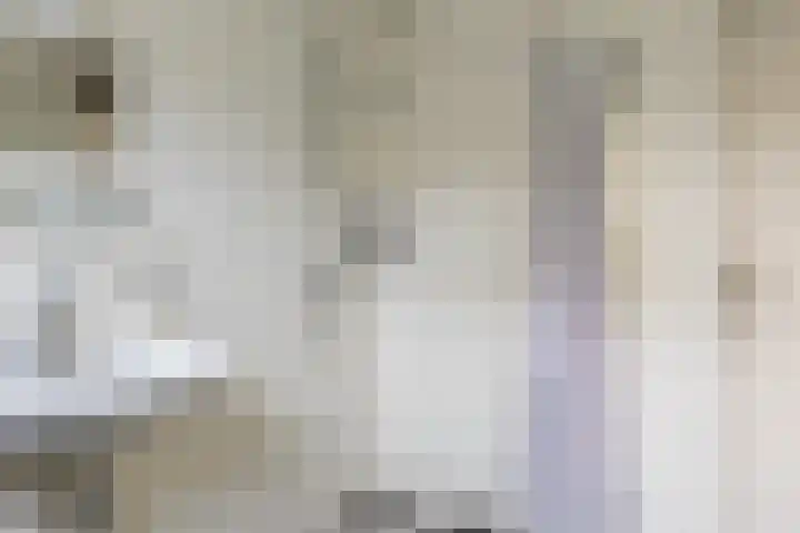 Fleminghof 73 Schoonhoven thumbnail 31