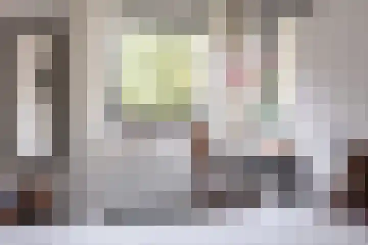 Fleminghof 73 Schoonhoven thumbnail 36