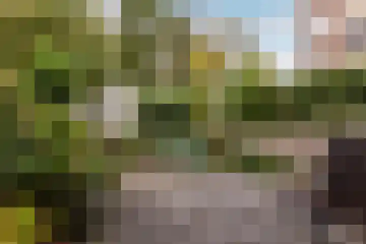 Fleminghof 73 Schoonhoven thumbnail 43