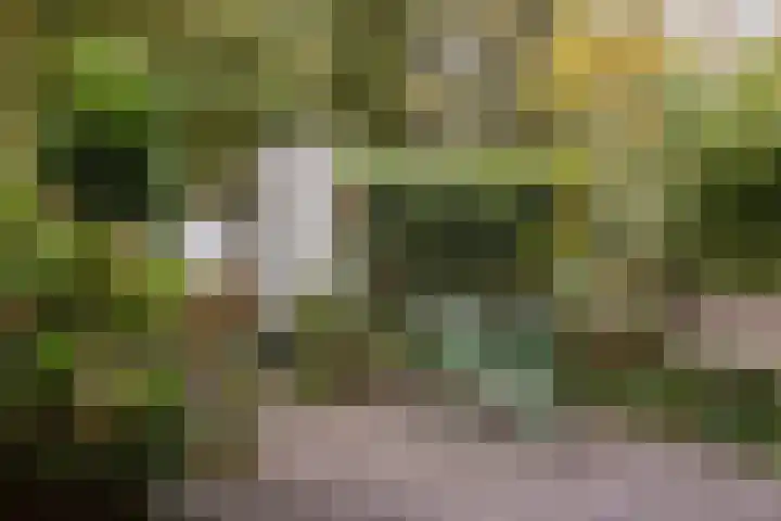 Fleminghof 73 Schoonhoven thumbnail 44