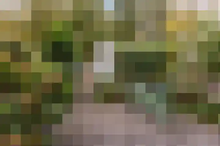 Fleminghof 73 Schoonhoven thumbnail 45