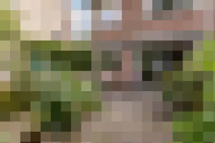 Fleminghof 73 Schoonhoven thumbnail 47