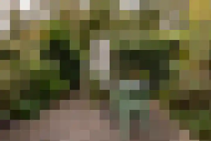 Fleminghof 73 Schoonhoven thumbnail 49