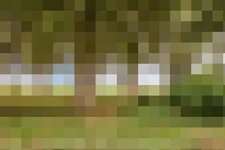 Fleminghof 73 Schoonhoven thumbnail 50