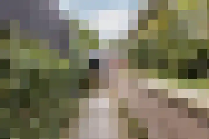 Fleminghof 73 Schoonhoven thumbnail 51