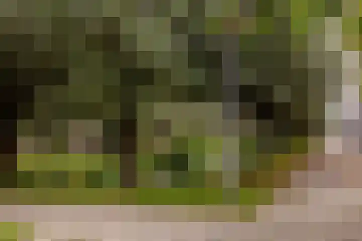Fleminghof 73 Schoonhoven thumbnail 53