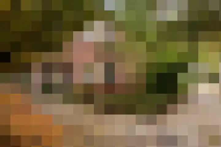 Fleminghof 73 Schoonhoven thumbnail 54