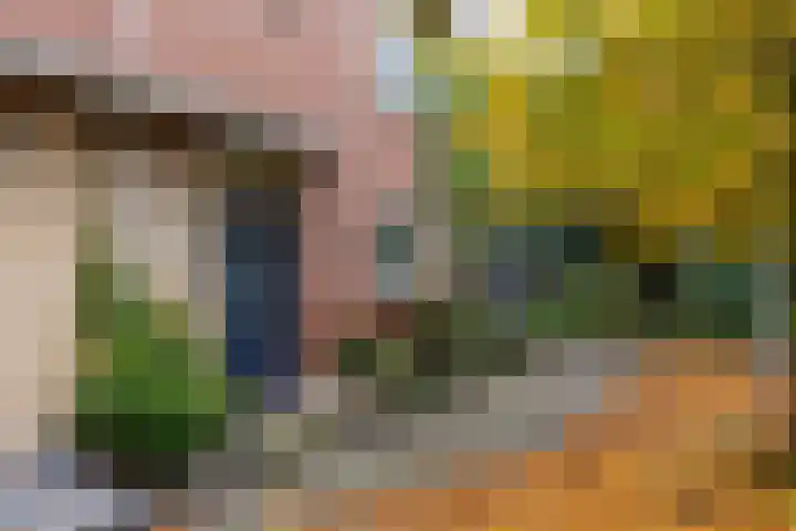 Fleminghof 73 Schoonhoven thumbnail 55