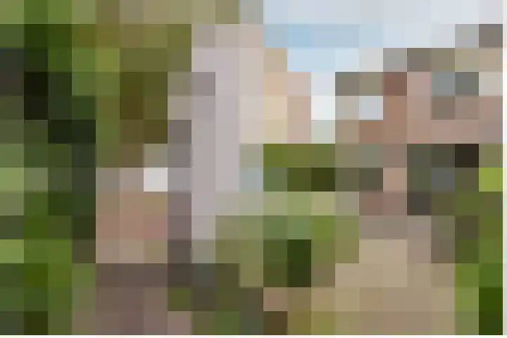 Fleminghof 73 Schoonhoven thumbnail 59