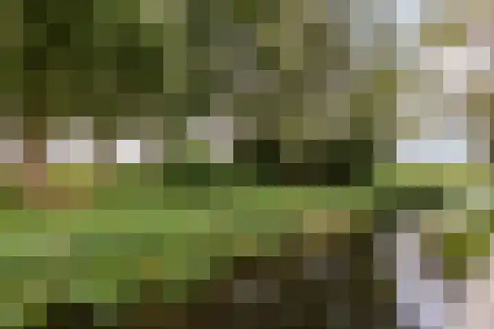 Fleminghof 73 Schoonhoven thumbnail 66