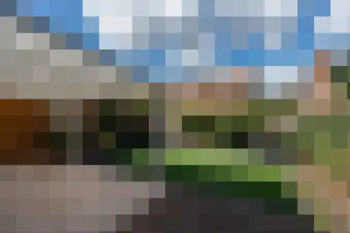 Fleminghstraat 58 Nijmegen thumbnail 30