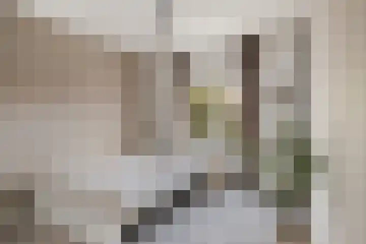 Fleminghstraat 60 Nijmegen thumbnail 17