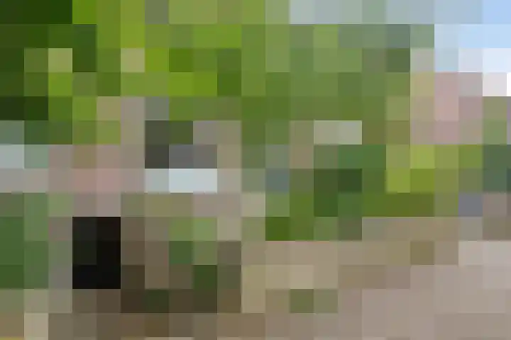 Fleminghstraat 60 Nijmegen thumbnail 36