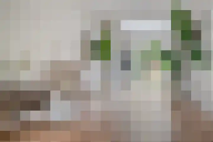 Fleminghstraat 60 Nijmegen thumbnail 9