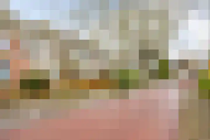 Fleminghstraat 81 Nijmegen thumbnail 34