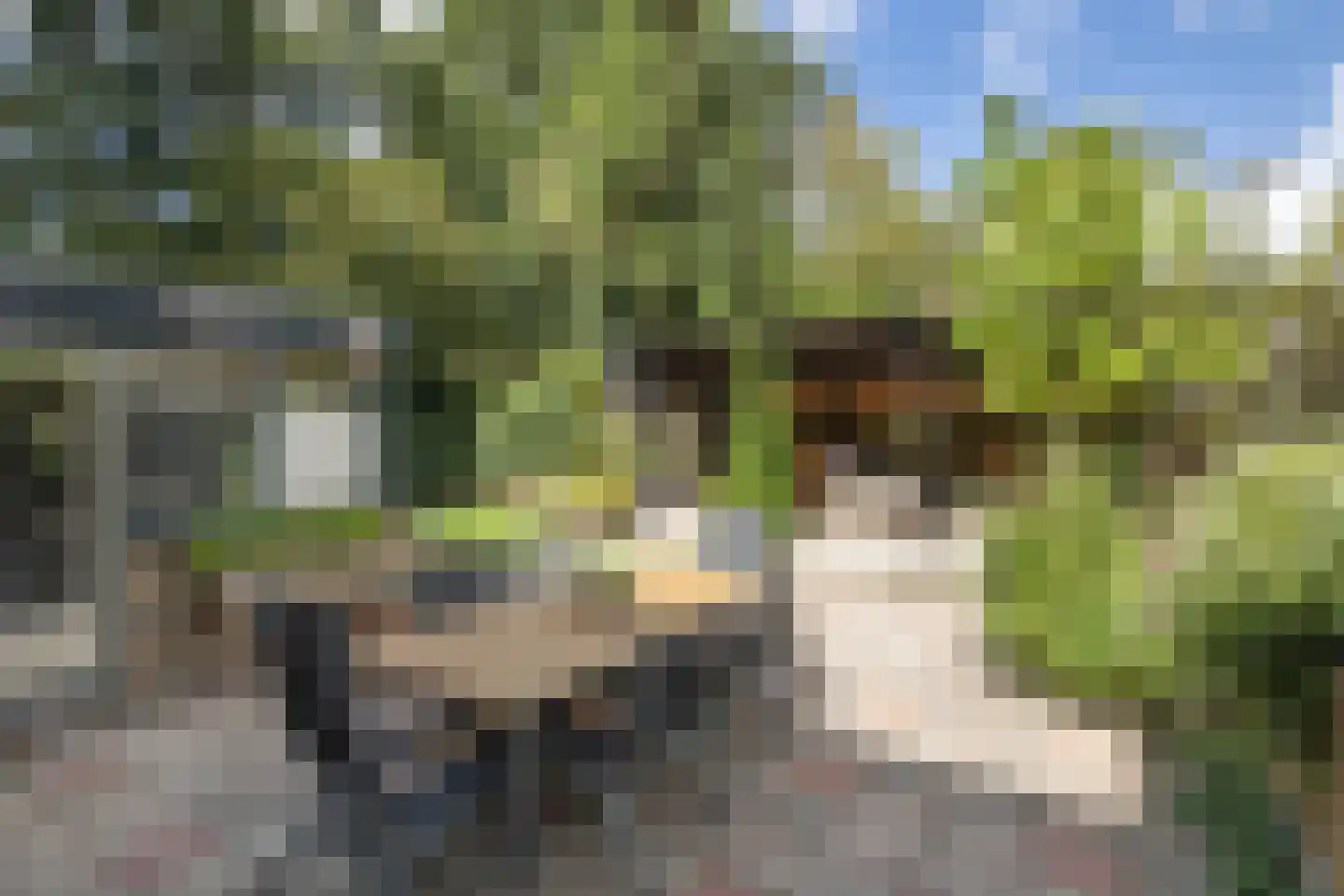 Flemingstraat 42 Hengelo thumbnail 31