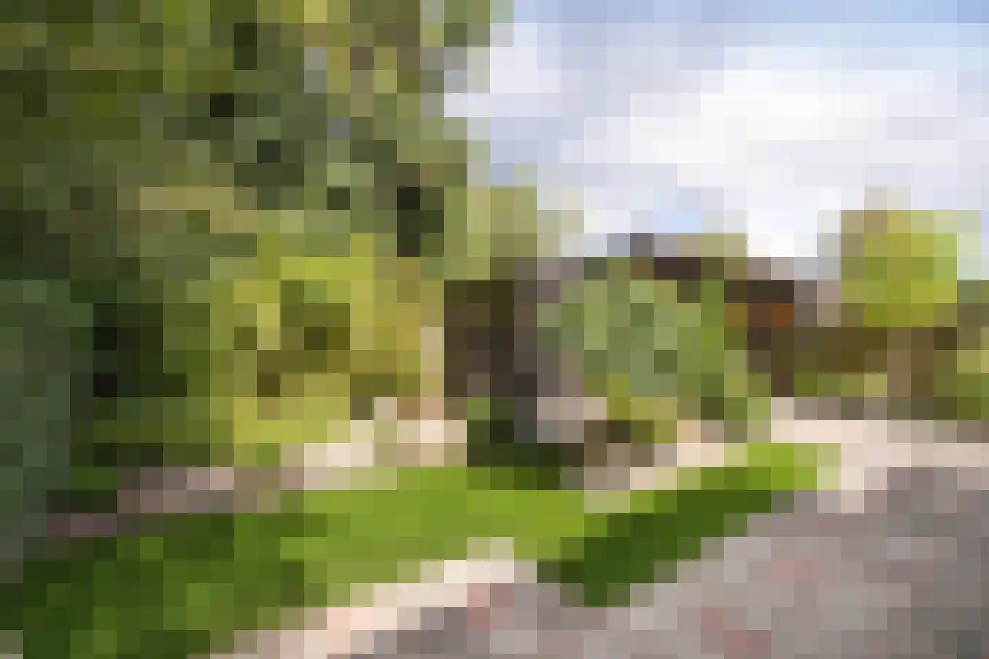 Flemingstraat 42 Hengelo thumbnail 36