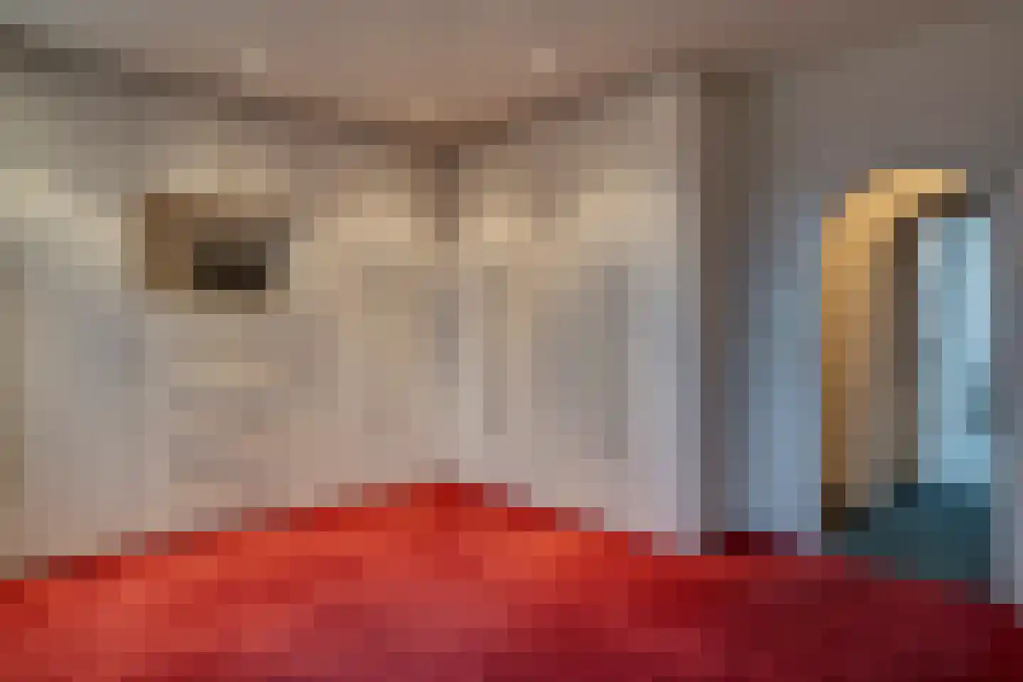 Flemingstraat 6 Deurne thumbnail 31