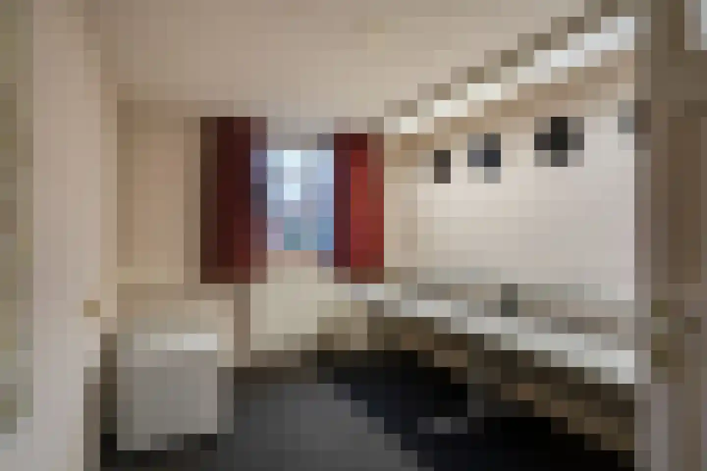 Flemingstraat 6 Deurne thumbnail 9