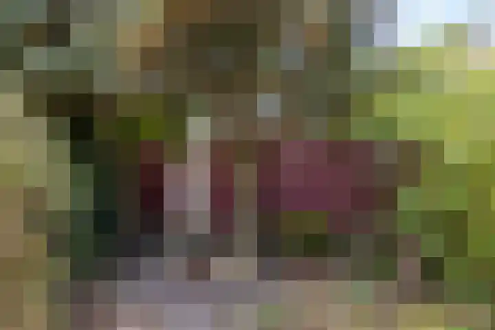 Flemingstraat 6 Groningen thumbnail 31
