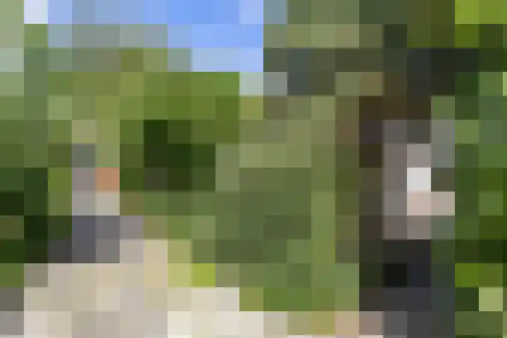Flemingstraat 6 Groningen thumbnail 35
