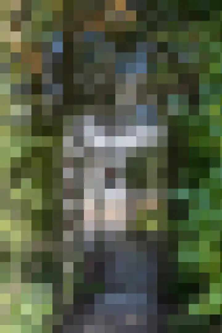Flemingstraat 6 Groningen thumbnail 36