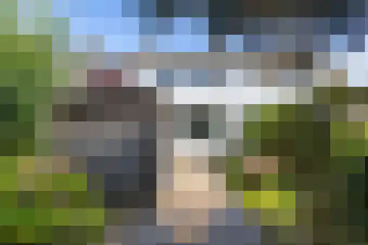 Flemingstraat 6 Groningen thumbnail 4