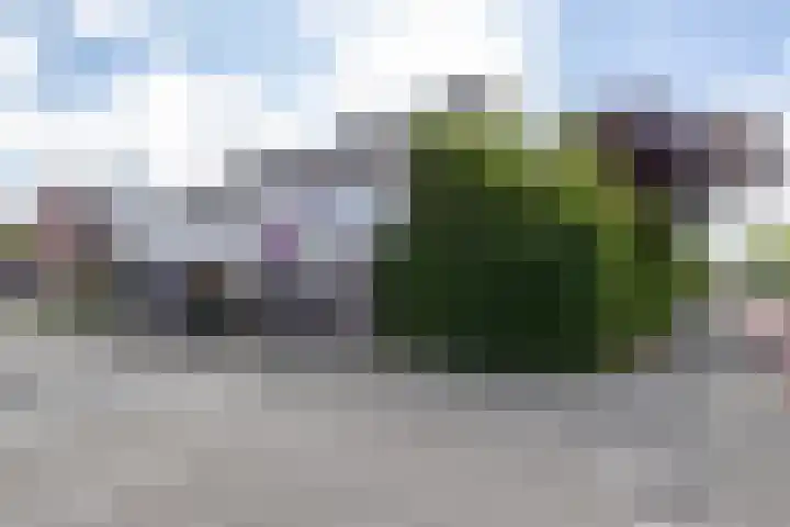 Flemingstraat 6 Groningen thumbnail 7