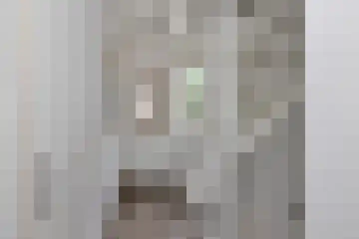 Flensburghof 6 Rotterdam thumbnail 13