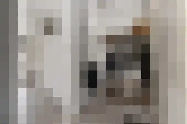 Flensburghof 6 Rotterdam thumbnail 14