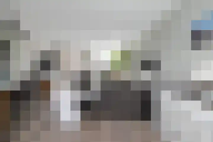 Flensburghof 6 Rotterdam thumbnail 15