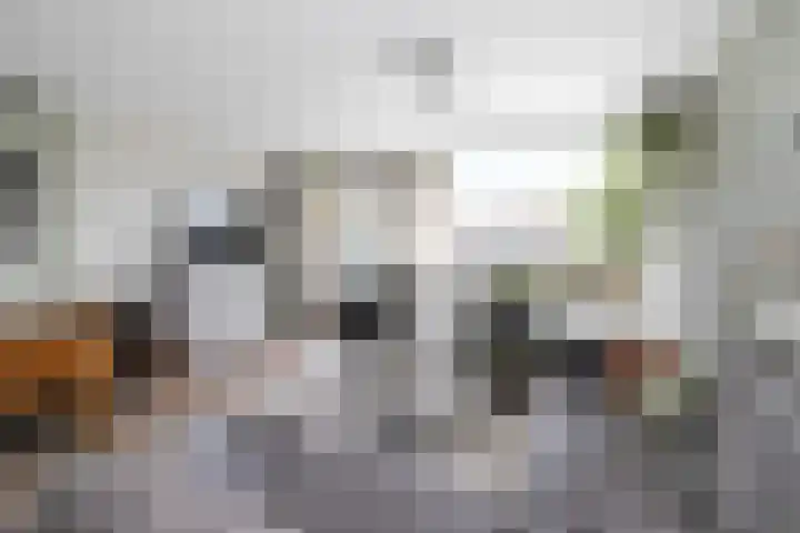 Flensburghof 6 Rotterdam thumbnail 17